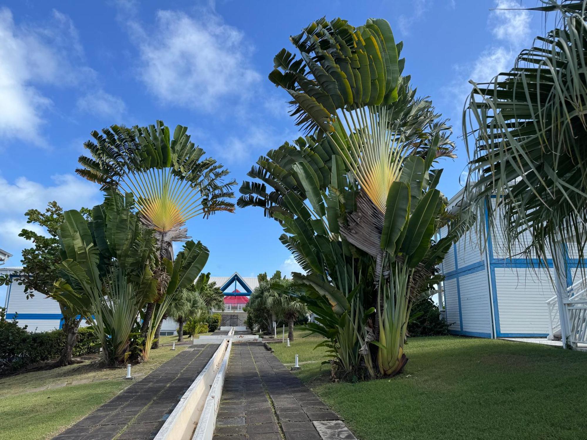 Ticarbets T3 - Residence Manganao - En Bord De Plage Saint-Francois  Eksteriør billede